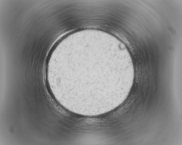 X0000115310984200912141133