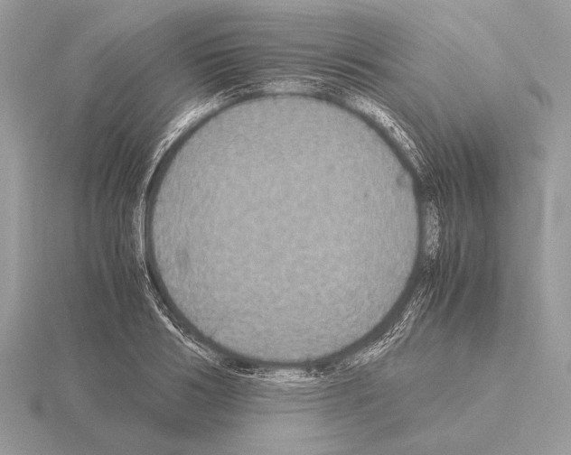 X0000115310986200912141133