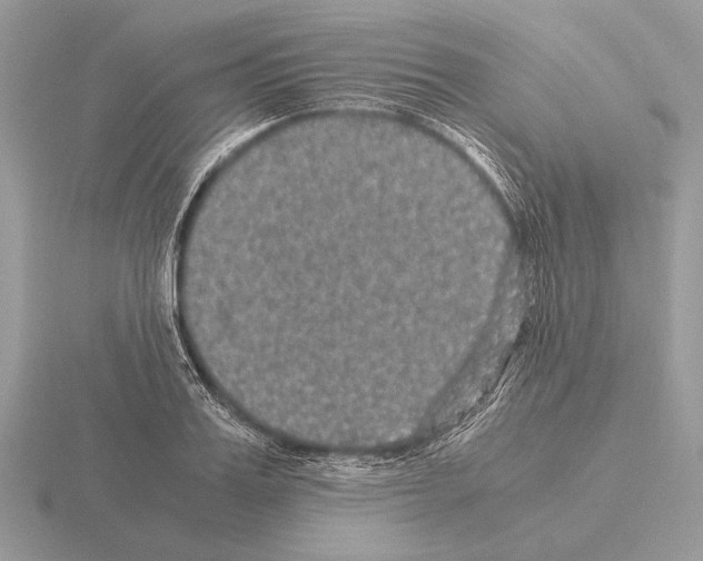 X0000115310987200912141133