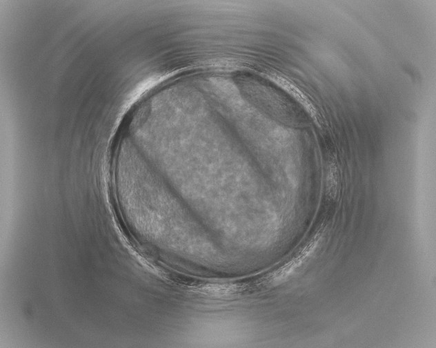 X0000115310989200912141133