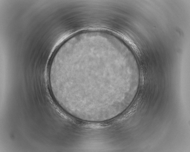 X0000115310990200912141133