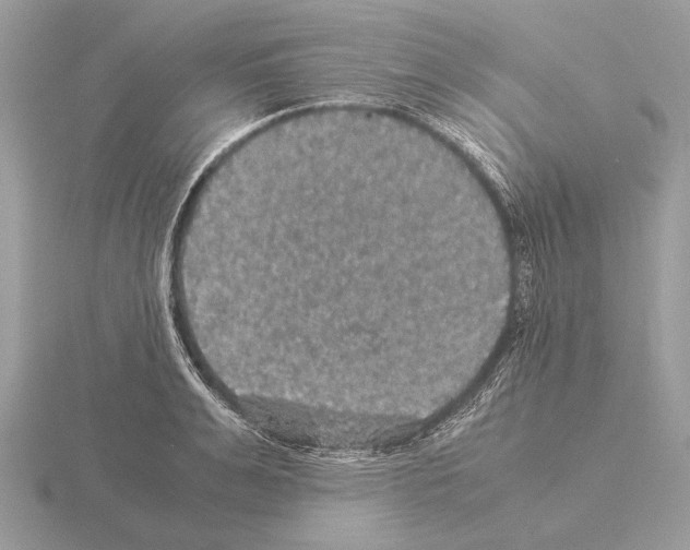 X0000115310991200912141133