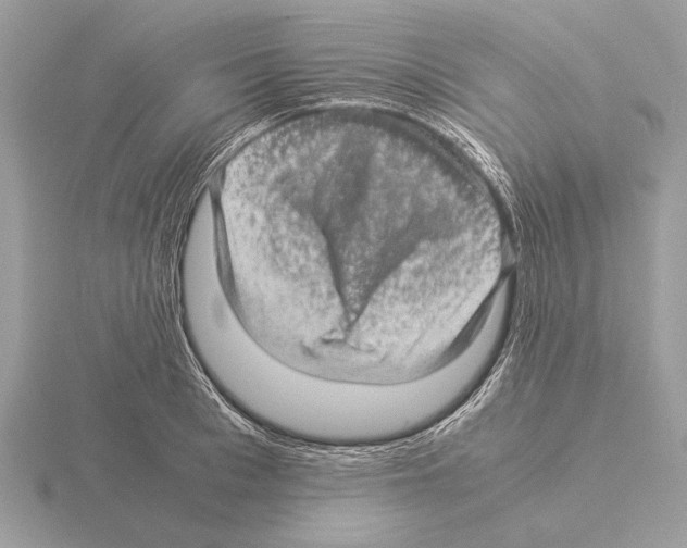 X0000115310993200912141133