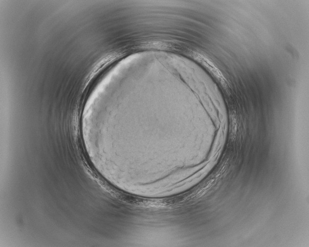 X0000115310994200912141133