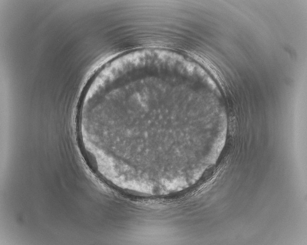 X0000115310995200912141133