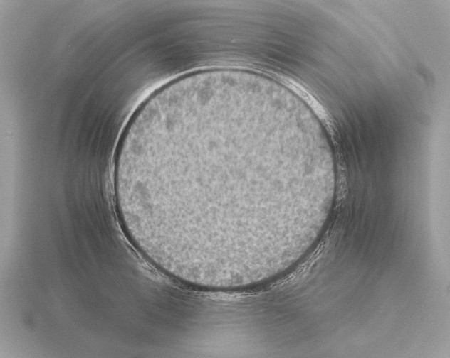 X0000115310996200912141133