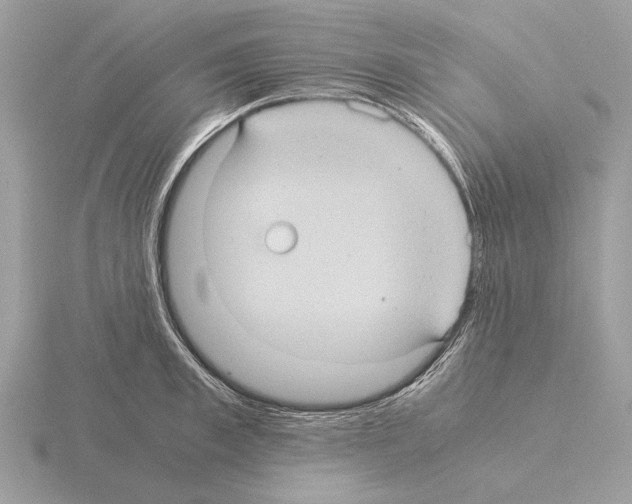 X0000115310997200912141133