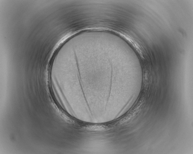 X0000115310998200912141133