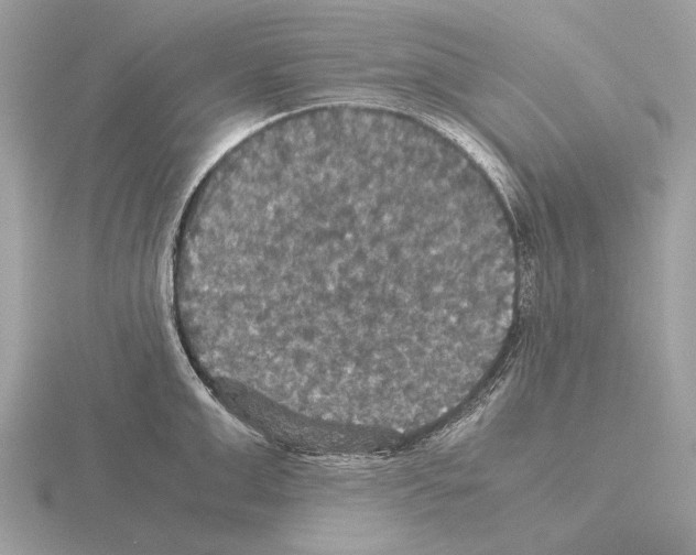 X0000115310999200912141133