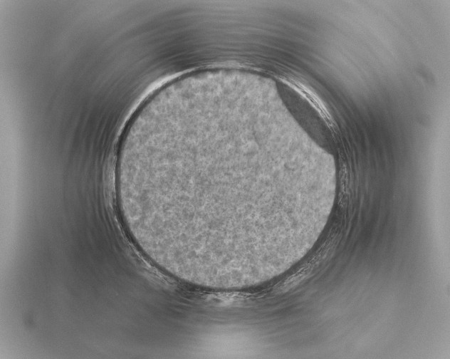 X0000115311000200912141133