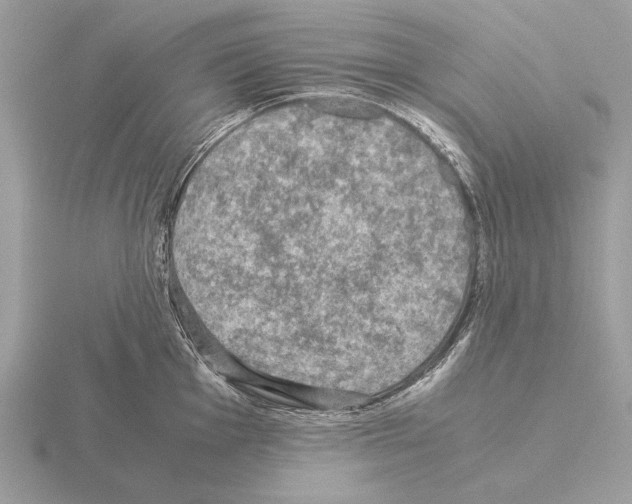 X0000115311001200912141133