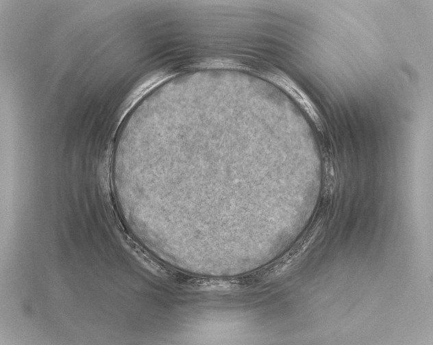 X0000115311002200912141133