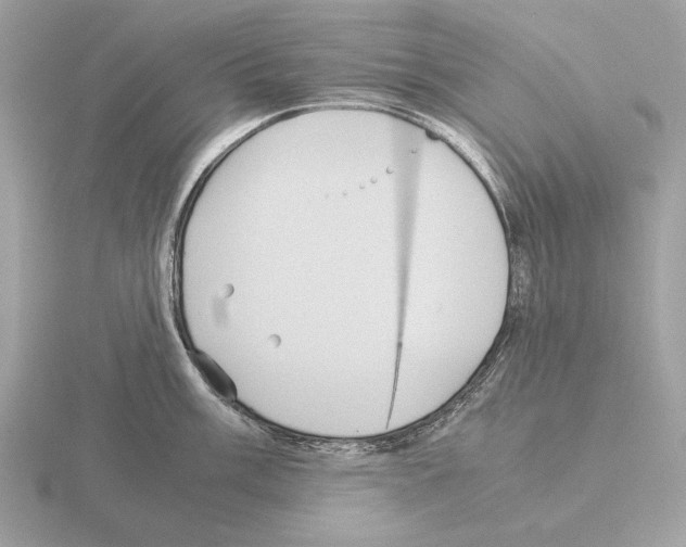 X0000115311003200912141133