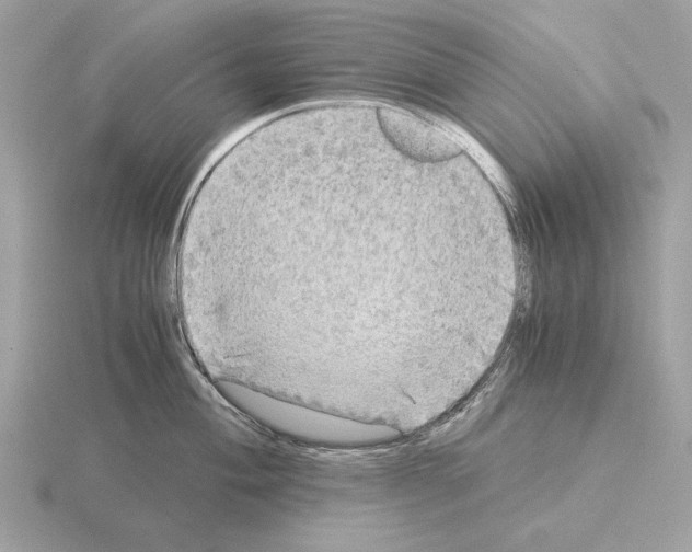 X0000115311004200912141133