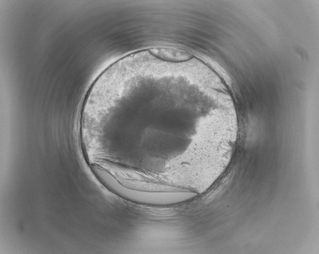 X0000115311007200912141133