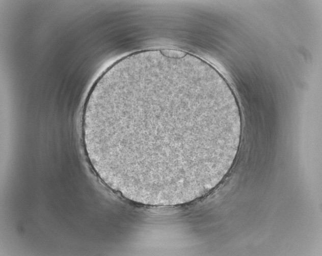 X0000115311008200912141133