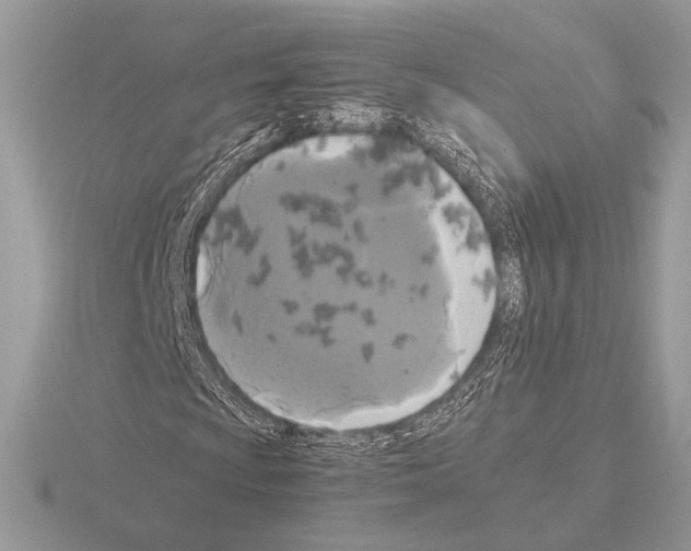 X0000115311009200912141132