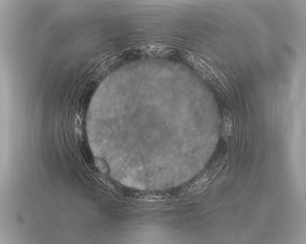 X0000115311010200912141132