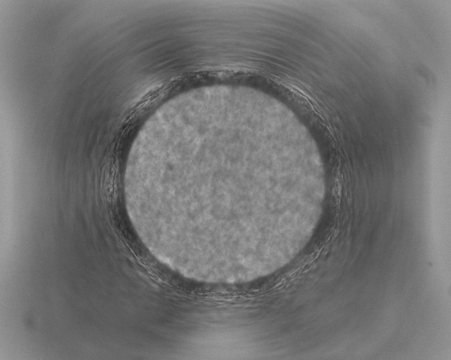 X0000115311014200912141132