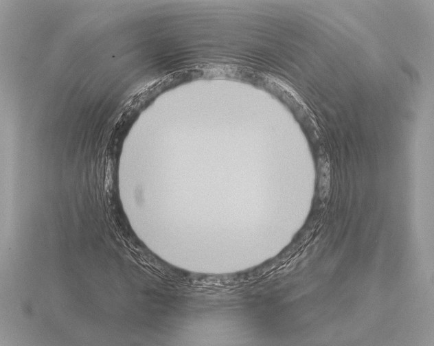 X0000115311016200912141133