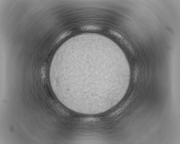 X0000115311017200912141133