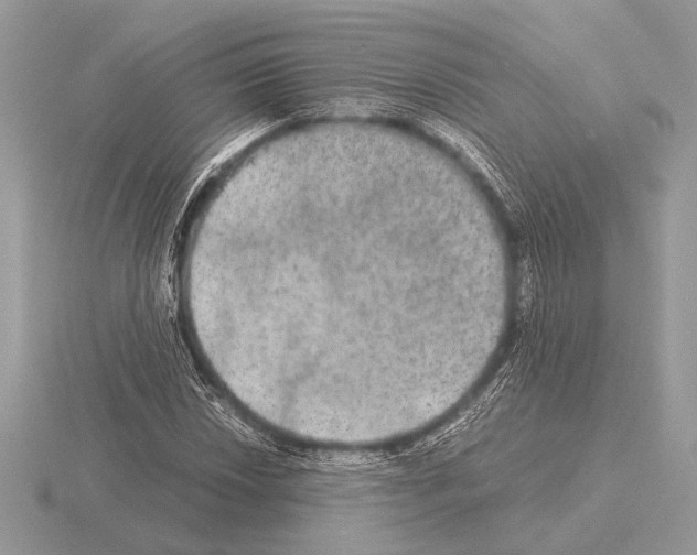 X0000115311018200912141133