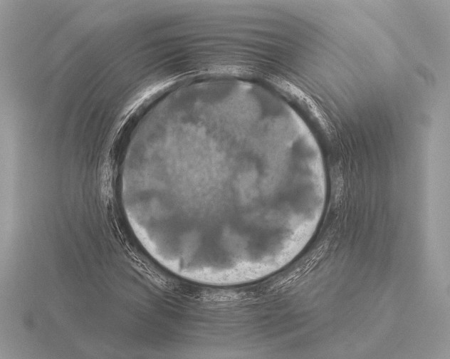 X0000115311019200912141133