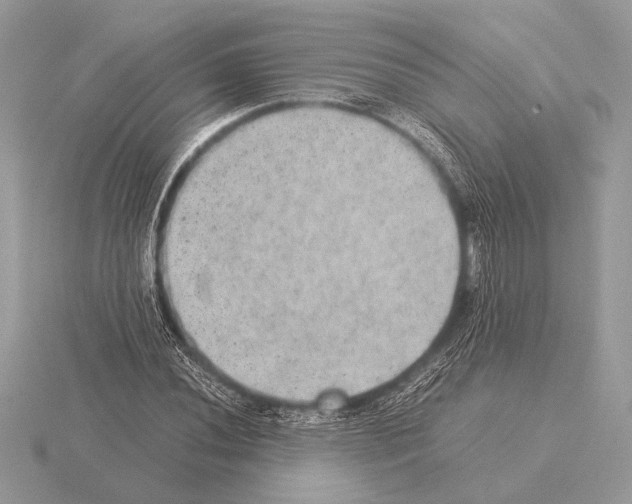 X0000115311020200912141133