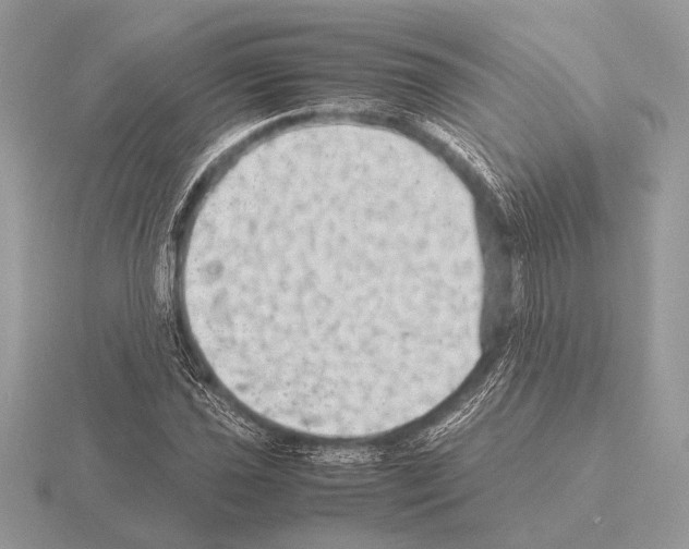 X0000115311021200912141133