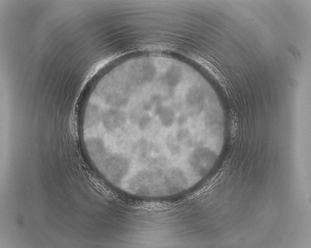 X0000115311022200912141133