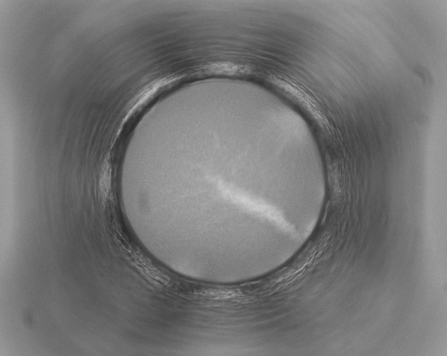 X0000115311023200912141133