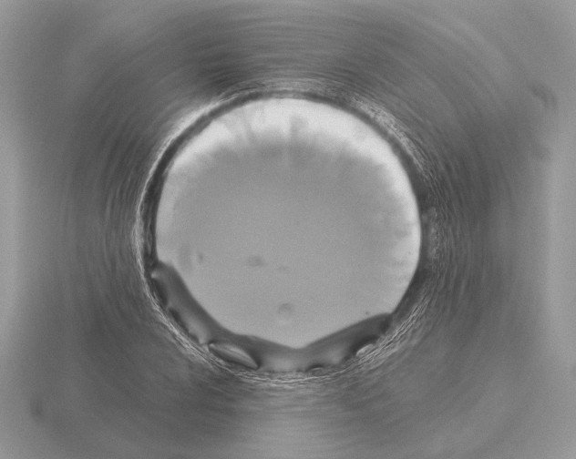 X0000115311024200912141133