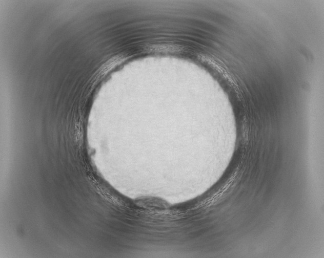 X0000115311025200912141133