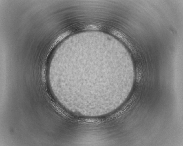 X0000115311026200912141133