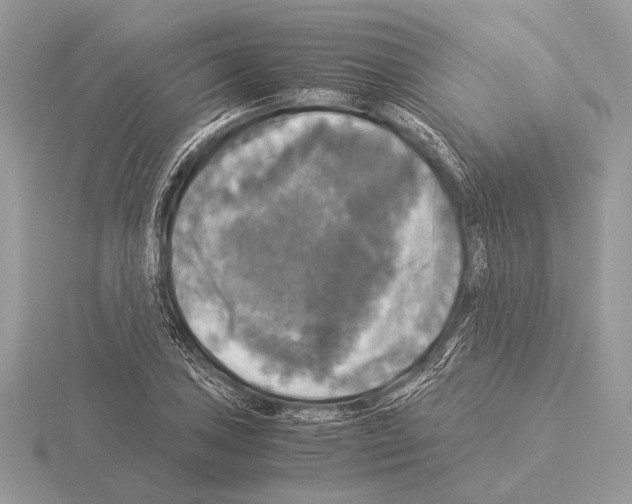 X0000115311027200912141133