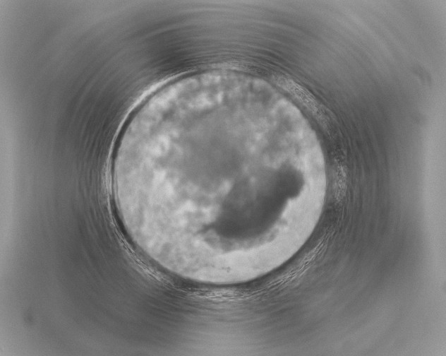 X0000115311028200912141133