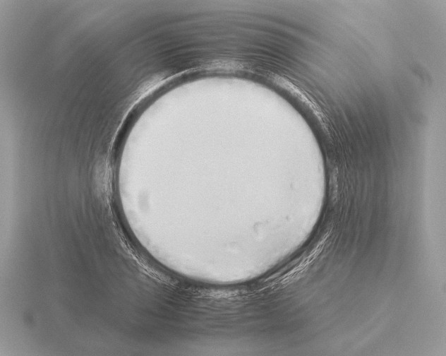 X0000115311029200912141133