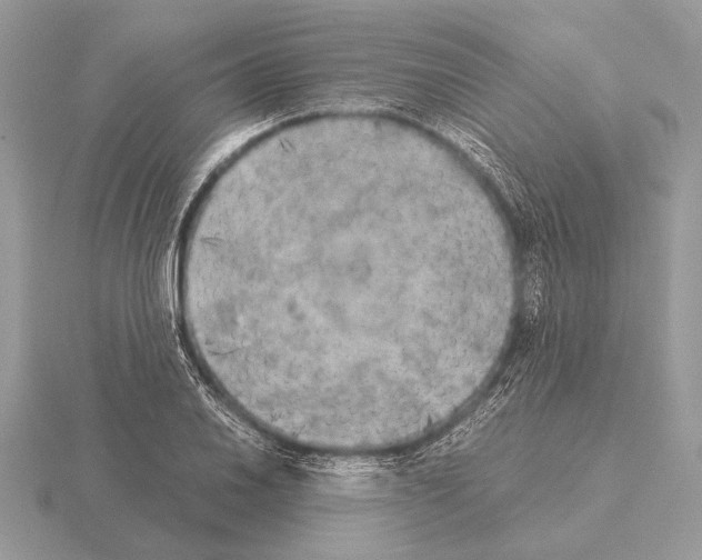 X0000115311030200912141133