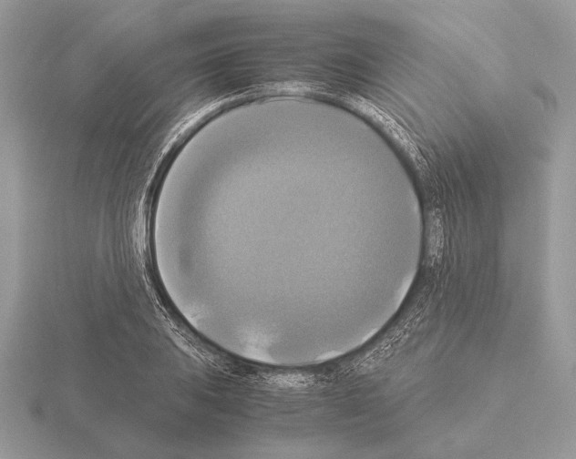 X0000115311031200912141133