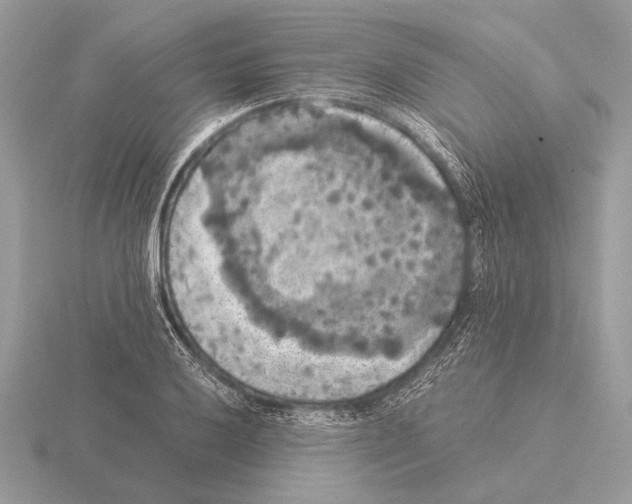 X0000115311032200912141133