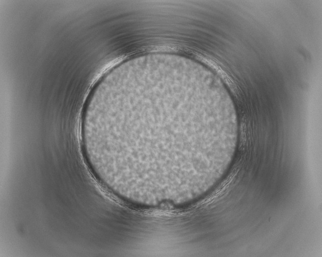 X0000115311034200912141133