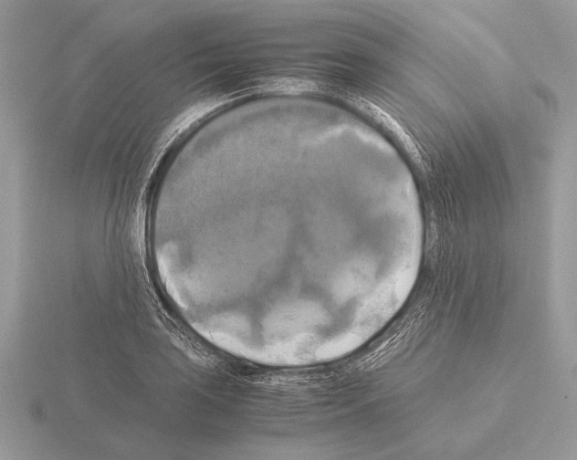 X0000115311035200912141133