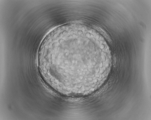 X0000115311036200912141133