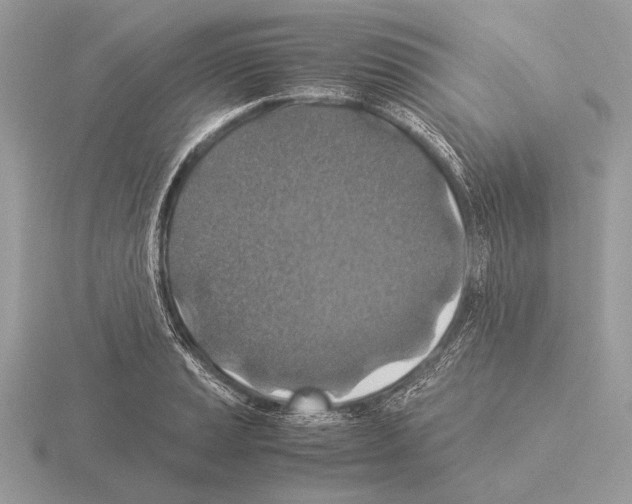 X0000115311037200912141133