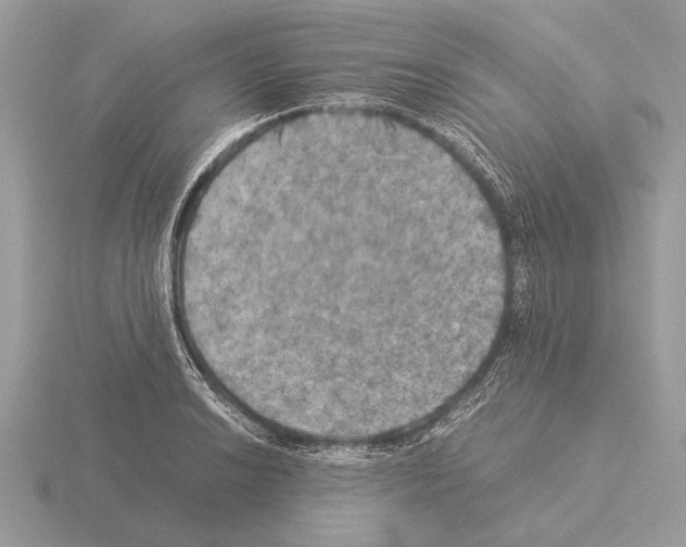 X0000115311038200912141133