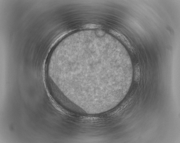 X0000115311039200912141133