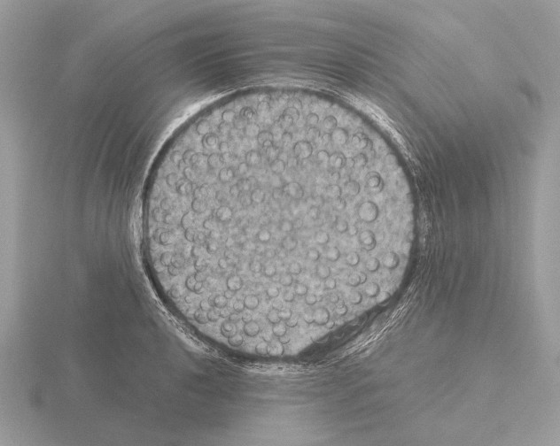 X0000115311040200912141133