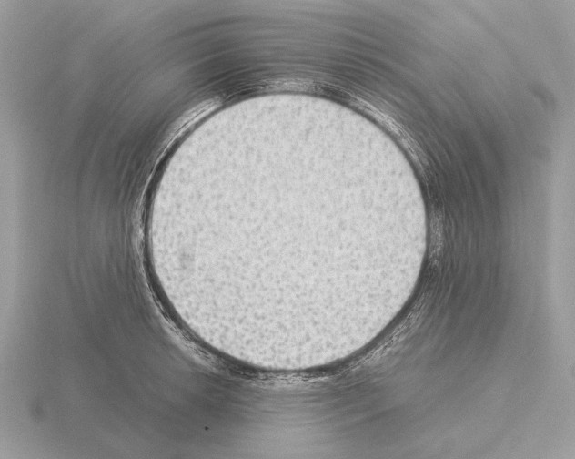 X0000115311042200912141133