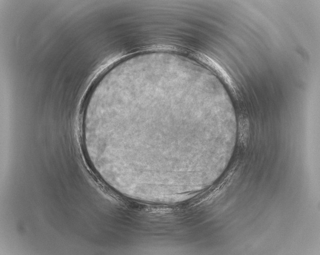 X0000115311043200912141133