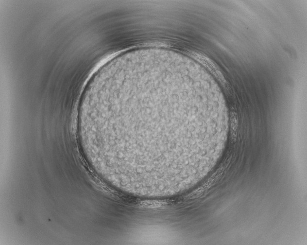 X0000115311044200912141133